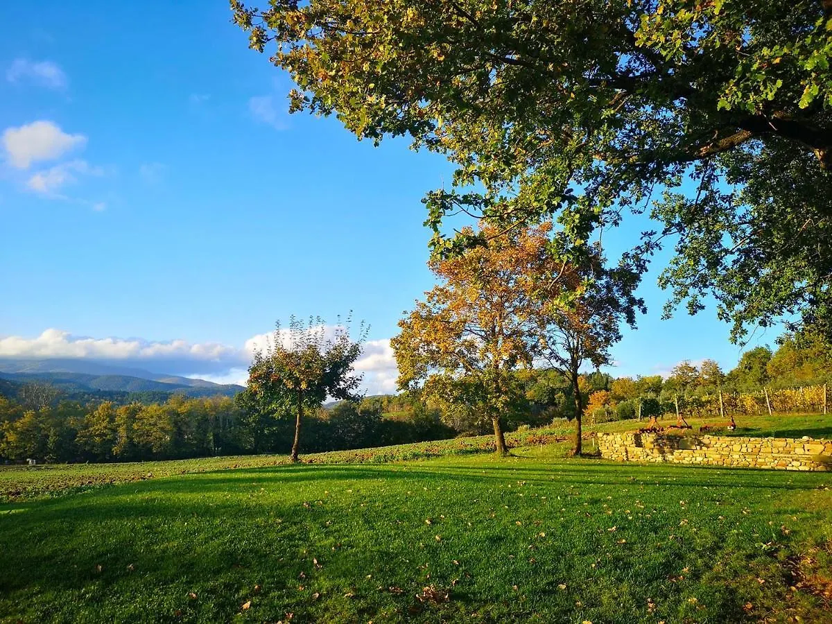Vakantiehuis Palazzolo Resort - Anghiari