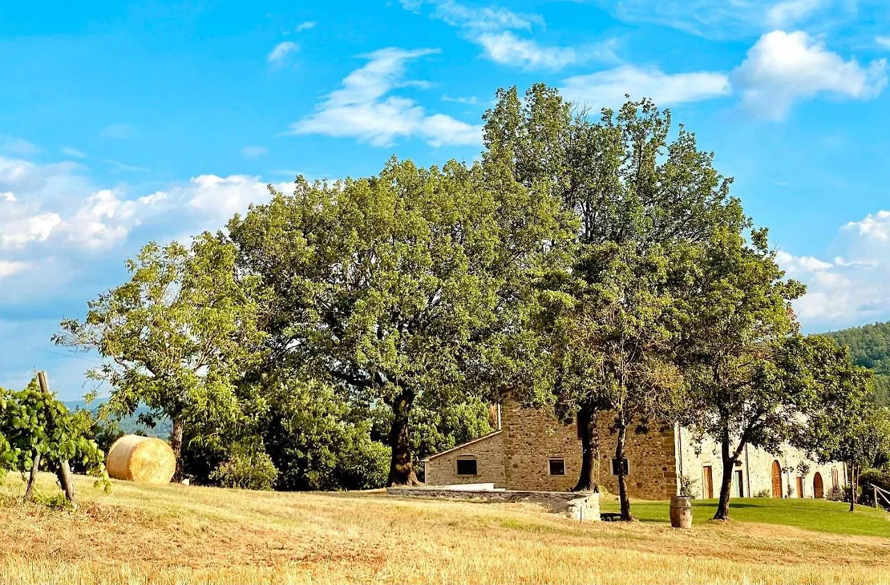 Palazzolo Resort - Anghiari